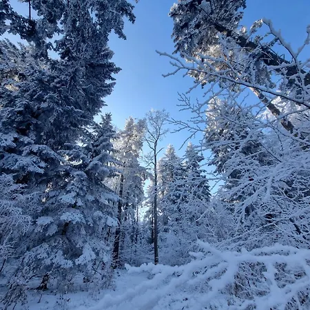 Nasza Gora Szymbark (Lesser Poland)